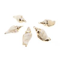 Trumpet Shell Pendant, Conch, gold color plated, natural & DIY, beige, 32*13*9-16*11*11mm 