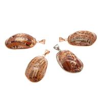 Natural Freshwater Shell Pendants, gold color plated, DIY, coffee color, 40*24*11mm Approx 4mm 