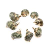 Трубные оболочки кулон латунь, Трубчатая ракушка, Ракушка, Другое покрытие, природный & DIY, зеленый, 33*19*12-25*15*9mm, продается PC