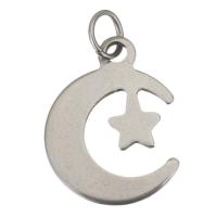 Stainless Steel Pendants, Moon and Star, plated 