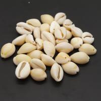 Trumpet Shell Beads, Oval, natural, no hole, 17-20mm Approx 1mm, Approx 