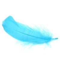 Chicken Feather Decoration Feather, DIY 100mm 