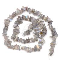 Abalorios de Piedra Lunar, Pepitas, pulido, gris, 4-7mm, longitud:aproximado 15 Inch, Vendido por Sarta