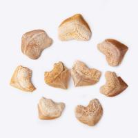Synthetic Gemstone Fossils Specimen, natural, DIY, brown, 20-30mm 