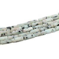 Lotus Jaspis Perlen, Lotos Jaspis, Rechteck, poliert, DIY, 4x13mm, 29PCs/Strang, verkauft von Strang