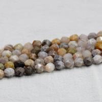 Natural Bamboo Agate Beads, polished, DIY & faceted 