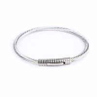 Titanium Steel Bracelet & Bangle, Unisex, 75mm 