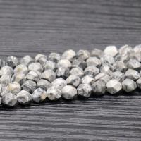 Map Stone Beads, Round, polished & DIY & faceted 