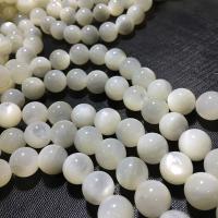 Weiße Lippenschale Perlen, rund, DIY & verschiedene Größen vorhanden, weiß, verkauft von Strang
