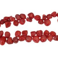Natürliche Korallen Perlen, rote Orange, 7-13x10-13x6-11mm, Länge:ca. 17 ZollInch, ca. 54PCs/Strang, verkauft von Strang