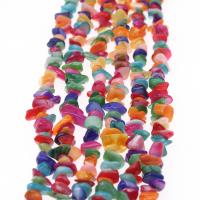 Granos de la cáscara teñido, Nácar, Bricolaje & diverso tamaño para la opción, multicolor, Vendido por Sarta