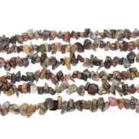 Gemstone Chips, Leopard Skin Stone, DIY mixed colors 