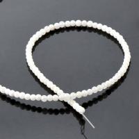 weiße Jade Perle, rund, poliert, DIY, weiß, 3mm, verkauft von Strang