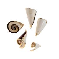 Trumpet Shell Pendant, Conch, plated, DIY, white, 36*17*14mm 