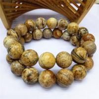 Picture Jasper Bracelet, Round, polished, Unisex Approx 7.5 Inch 
