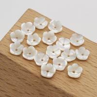 Natural Freshwater Shell Beads, Pearl Shell, Carved, DIY 6mm 