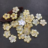 Natural Freshwater Shell Beads, Carved, DIY 