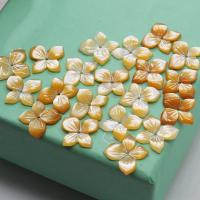 Natural Freshwater Shell Beads, Carved, DIY 