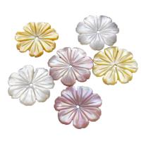 Natural Freshwater Shell Beads, Flower, Carved, DIY 18mm 