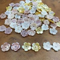 Natural Freshwater Shell Beads, Carved, DIY 12mm 