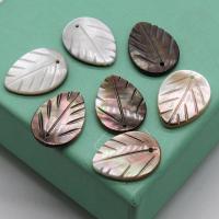 Natural Freshwater Shell Pendants, Leaf, Carved, DIY 