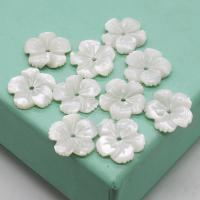 Natural White Shell Beads, Carved, DIY 