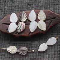 Natural Freshwater Shell Beads, Leaf, Carved, DIY 