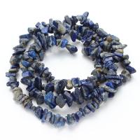 Gemstone Chips, Sodalite, Nuggets, polished, DIY, blue, 5-8mm cm 