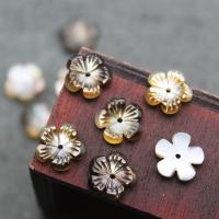 Perlas De Concha Del Labio Negro, Nácar, Tallado, Bricolaje, más colores para la opción, 10mm, Vendido por UD