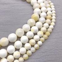 Perles en coquille naturel, Rond, DIY & normes différentes pour le choix, blanc, Vendu par brin