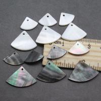 Natural Freshwater Shell Pendants, DIY 