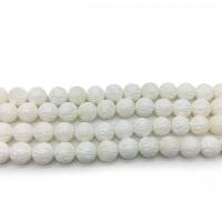 Perles de cannelé bénitiers, coquille, lotuslotophage, poli, DIY & normes différentes pour le choix, blanc, Vendu par brin