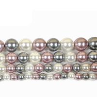 AB Color Shell Beads, Round, polished, DIY mixed colors 