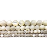 Perles de coquillages blancs, Lèvre blanche, Rond, poli, DIY & normes différentes pour le choix, rose, Vendu par brin