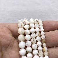 Weiße Lippenschale Perlen, Muschel, rund, poliert, DIY & verschiedene Größen vorhanden, weiß, verkauft von Strang