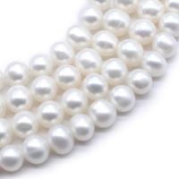 Round Cultured Freshwater Pearl Beads, polished, DIY white 