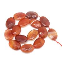 Natural Red Agate Beads, Ellipse, polished, DIY, reddish-brown, 18*25mm cm 