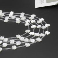 Natural White Shell Beads, Elephant, DIY, white, 9*15*2mm 