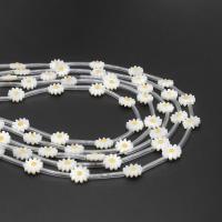 Natural White Shell Beads, Flower, DIY white 