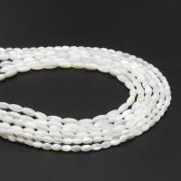 Perles en coquillage blanc naturel, coquille, ellipse, DIY & normes différentes pour le choix, blanc, Vendu par brin