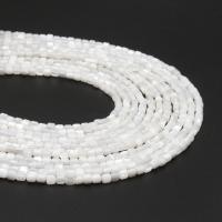 Natural White Shell Beads, Column & DIY 3.5*3.5mm 