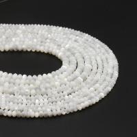 Natural White Shell Beads, Round & DIY 