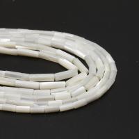 Natural White Shell Beads, Column, DIY 