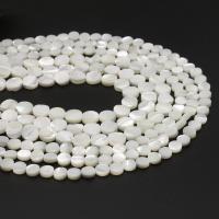Natural White Shell Beads, Flat Round, DIY white 