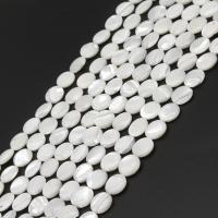 Natural White Shell Beads, Flat Round, DIY, white, 10*10*4mm 