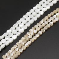 Natural White Shell Beads, Heart, DIY 