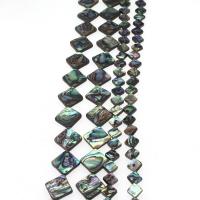 Abalone Shell Beads, Rhombus, DIY mixed colors 