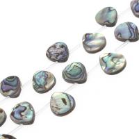 Abalone Shell Beads, Teardrop, DIY mixed colors 