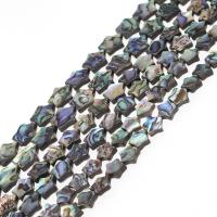 Abalone Shell Beads, Star, DIY mixed colors 