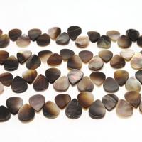 Schwarze Lippe Muschelperlen, Muschel, Tropfen, DIY & verschiedene Größen vorhanden, gemischte Farben, verkauft von Strang